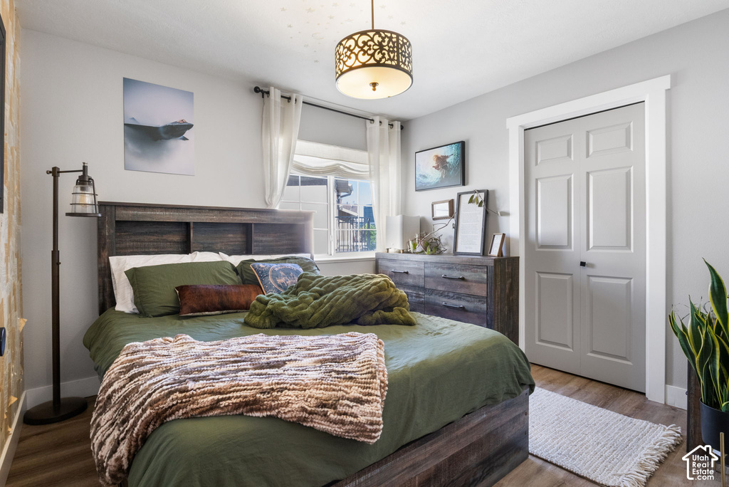 Spacious bedroom featuring wood-finish flooring, a contemporary ceiling light fixture, a paneled closet door, and a built-in headboard with storage compartments