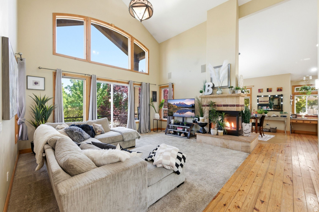 11266 S PALISADE VIEW DR photo 5