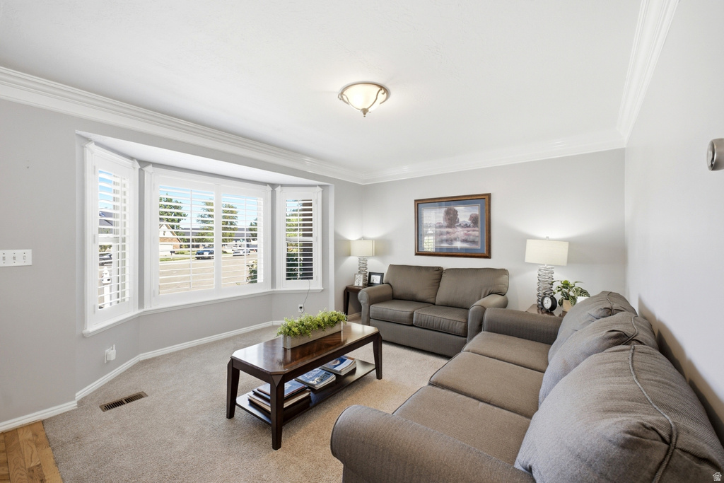 11209 S Christopher Cir — photo 7