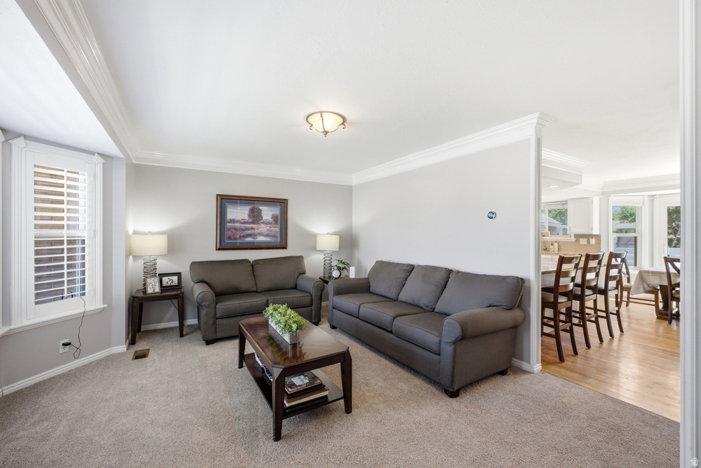 11209 S Christopher Cir — photo 6