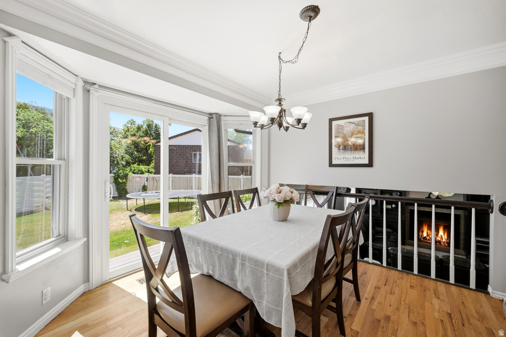 11209 S Christopher Cir — photo 16