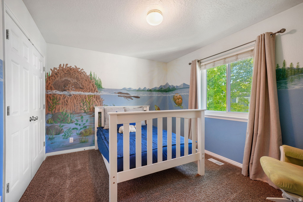 Bright interior room featuring a large window with exterior tree views, wall-to-wall carpeting, a built-in closet with a panel door, and a flush mount ceiling light fixture