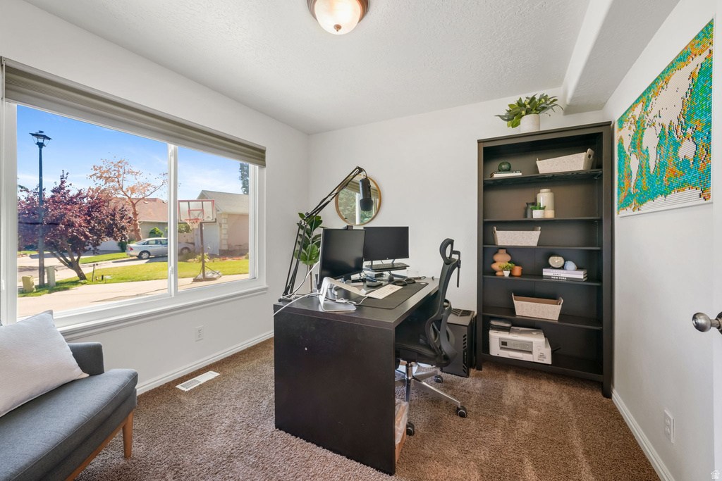 Bright room with white painted walls and brown carpet flooring