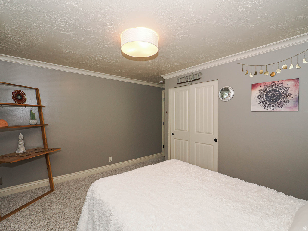 Neutral tone walls featuring white crown molding and baseboards