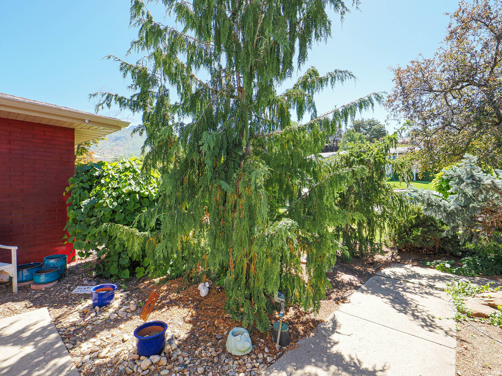 2425 E CINNABAR LN photo 5