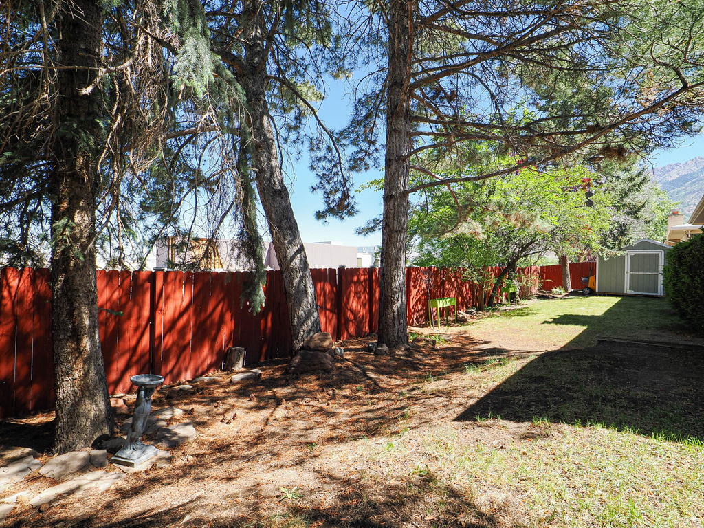 Yard
