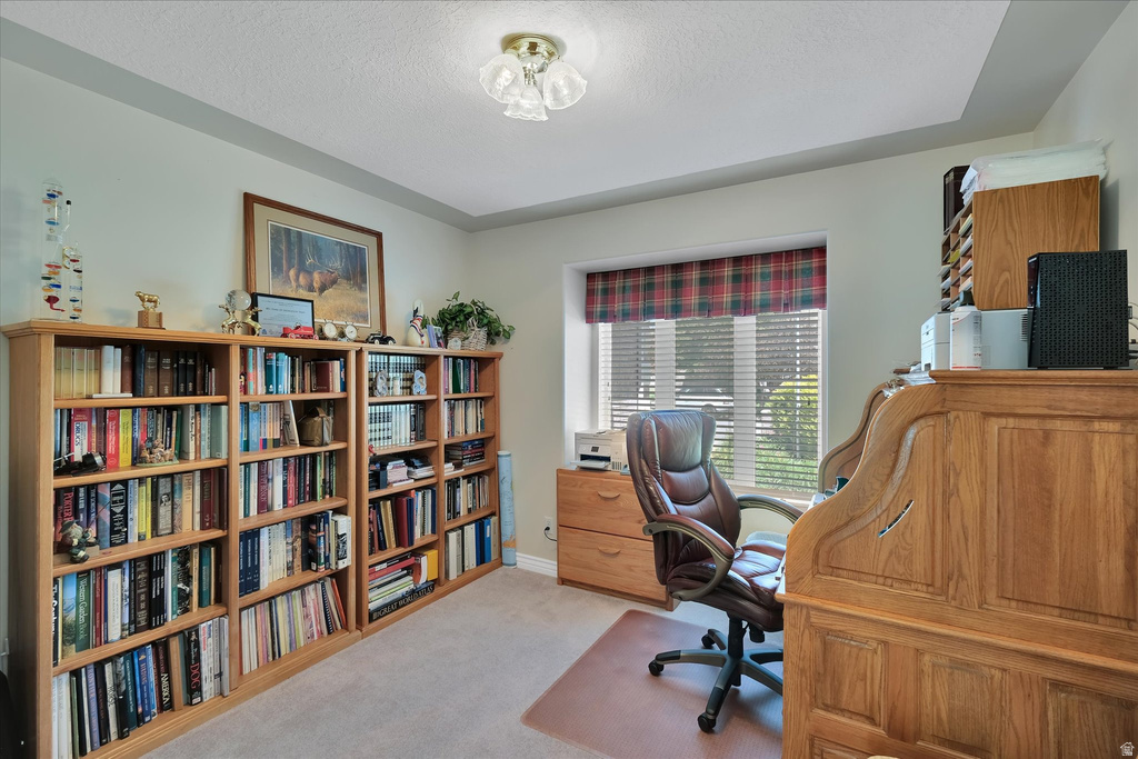 Room featuring extensive built-in wooden shelving, a large window with horizontal blinds, and a tray ceiling
