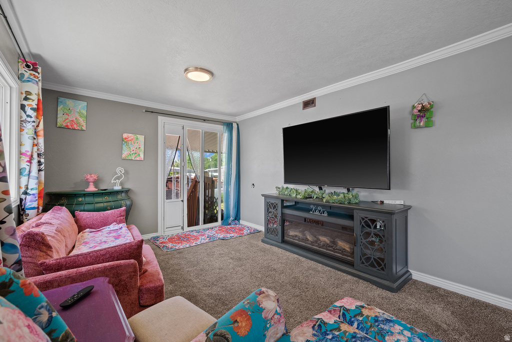 11259 S CRESCENT PARK CIR photo 3