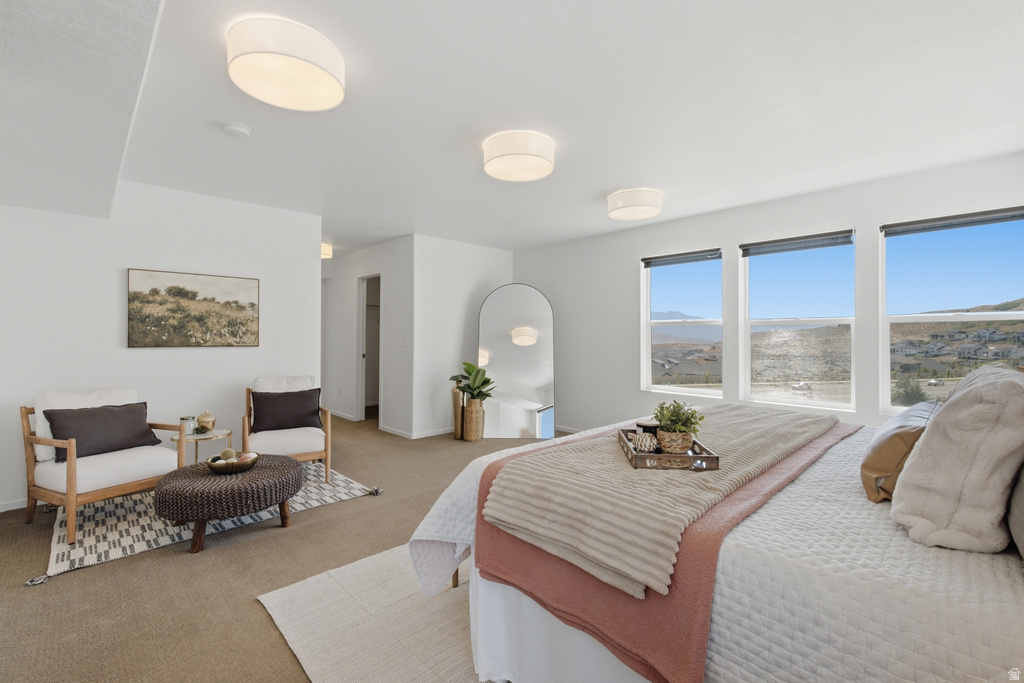 5039 AMBERMONT W DR photo 4