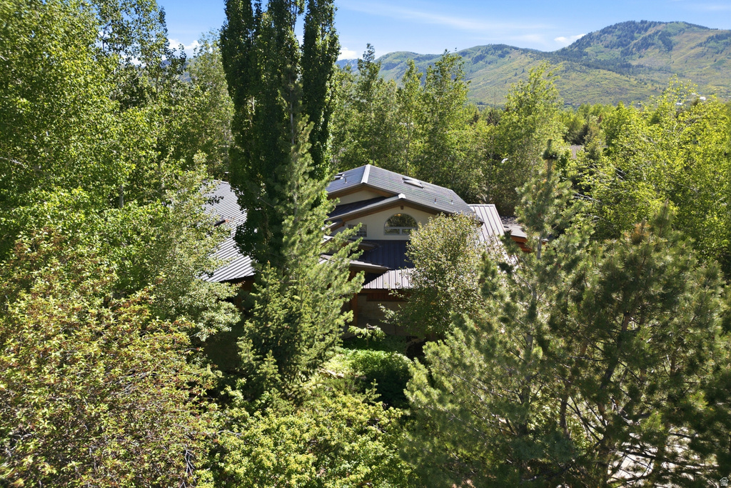 6 SAINT ANDREWS CT photo 4