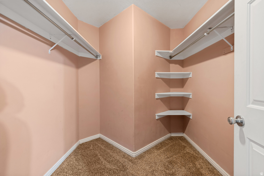 Walk-in closet featuring built-in shelving, hanging rods, and neutral carpet flooring
