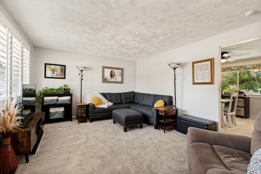2120 W ROBIN S WAY photo 5
