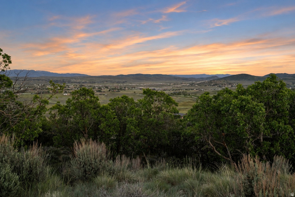 Expansive mountain backdrop with a vibrant sunset and natural desert flora