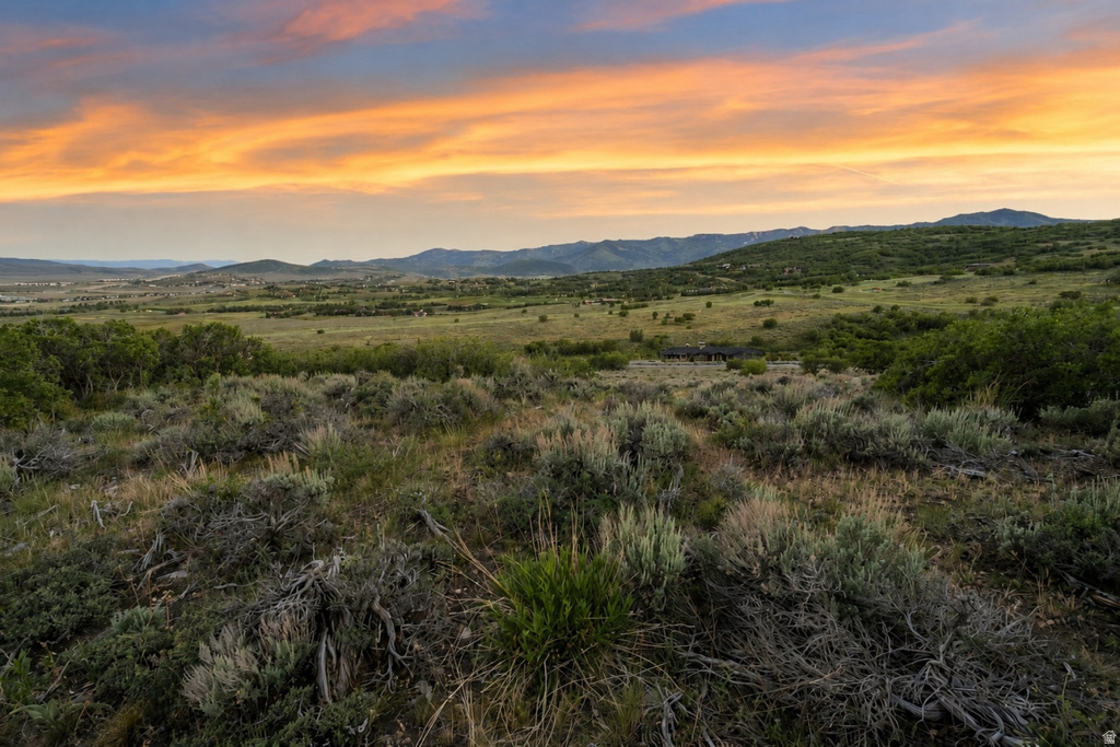 Expansive natural landscape with varied shrubbery and distant rolling hills
