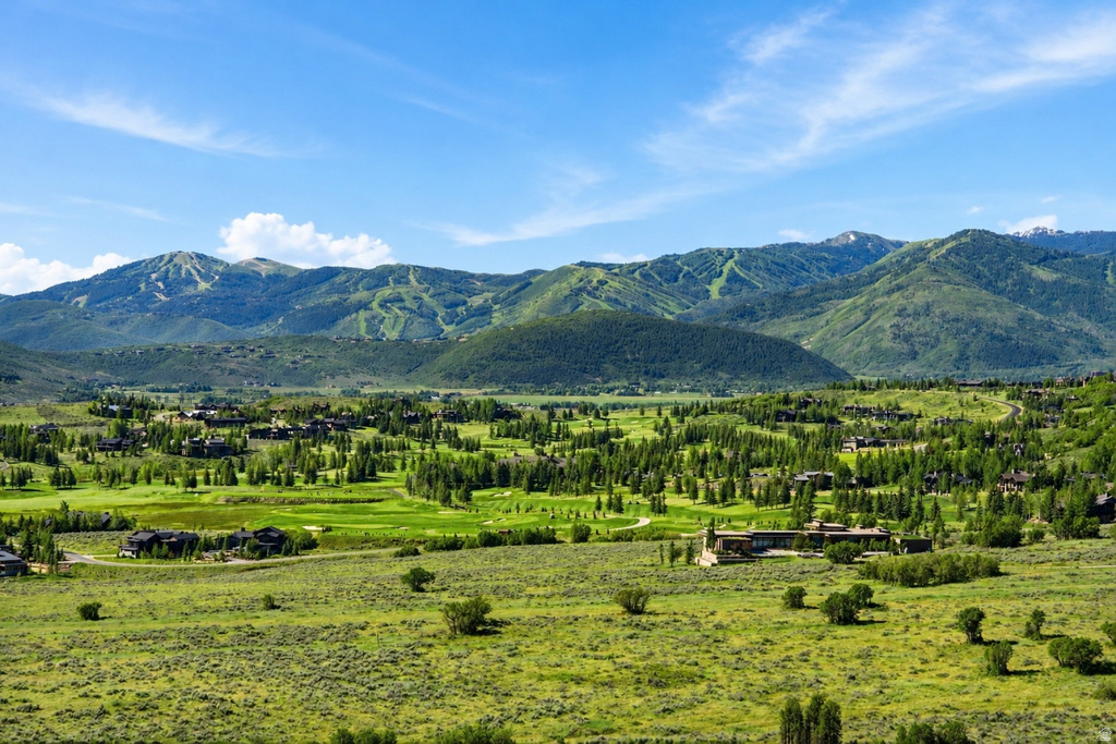 Mountain view