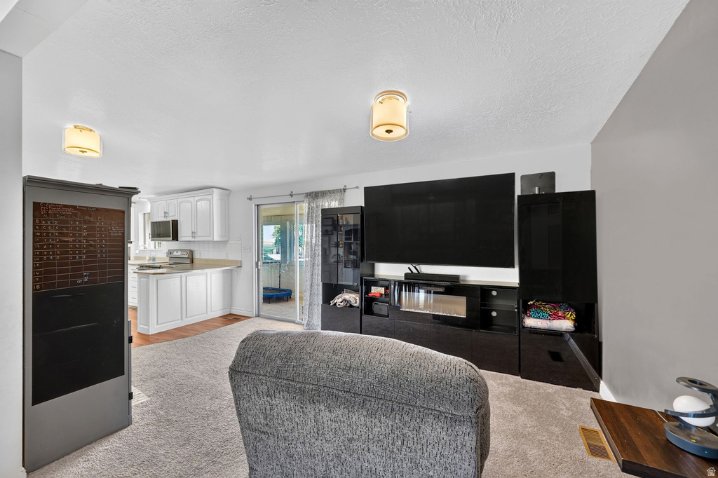 1045 PEACH DR photo 3