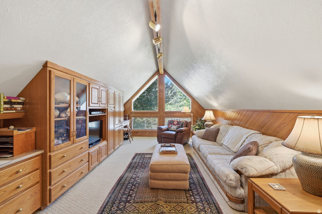 Angled ceiling room featuring built-in wood cabinetry, wood-paneled walls, and a large triangular window