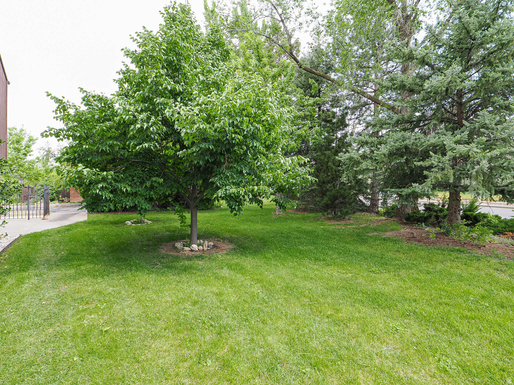 2074 E MICHIGAN AVE photo 5