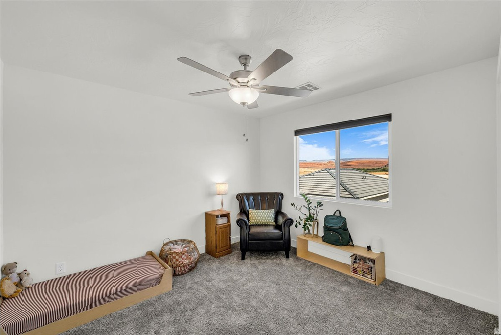 529 S STEWART CREEK CV photo 4