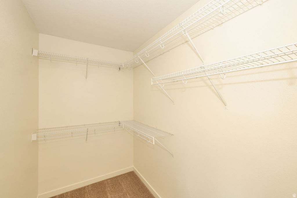 Walk-in closet featuring wire shelving, wall-mounted racks, and carpeting