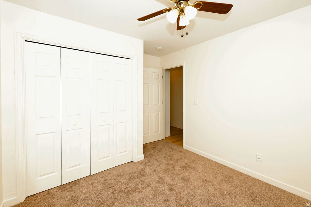 Neutral wall finishes with a ceiling fan light fixture, bifold closet doors, and carpet flooring