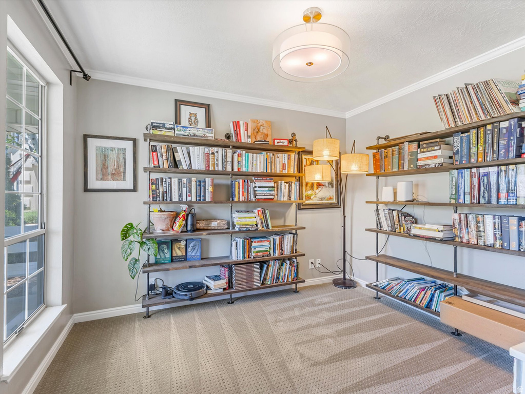 10886 N HIGHLAND N CIR photo 3