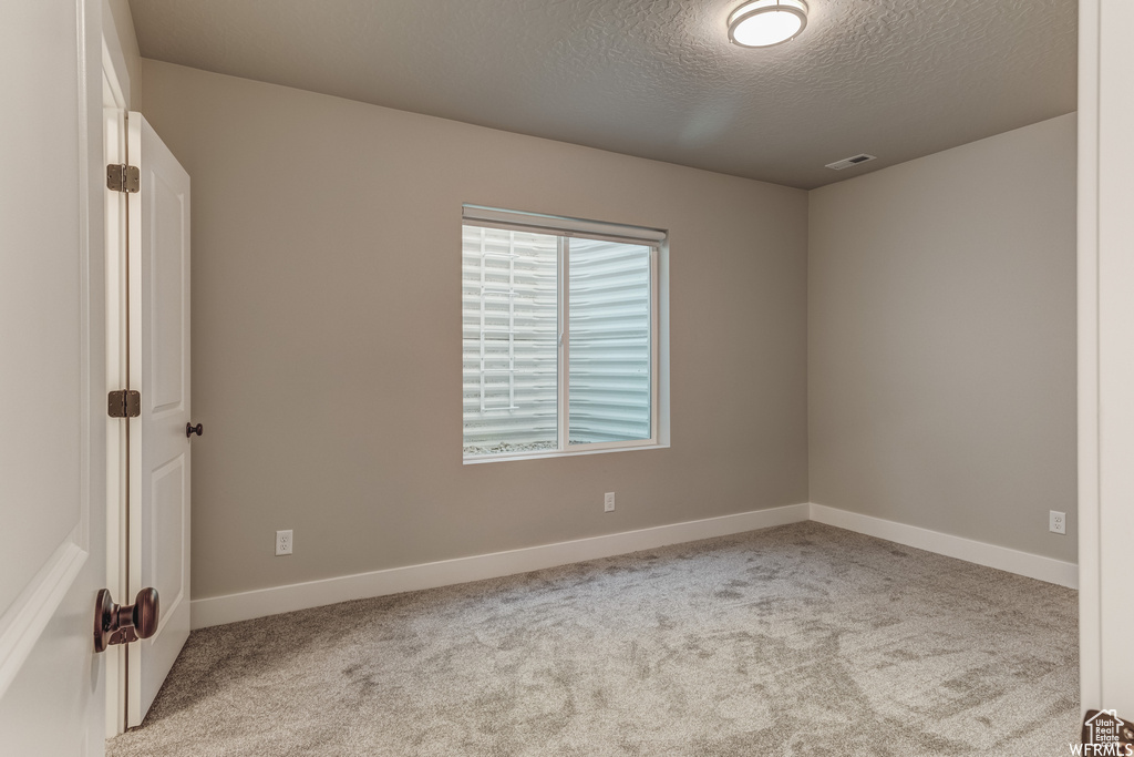 Neutral wall paint, white trim, gray carpeting, natural light, and a flush mount ceiling light fixture