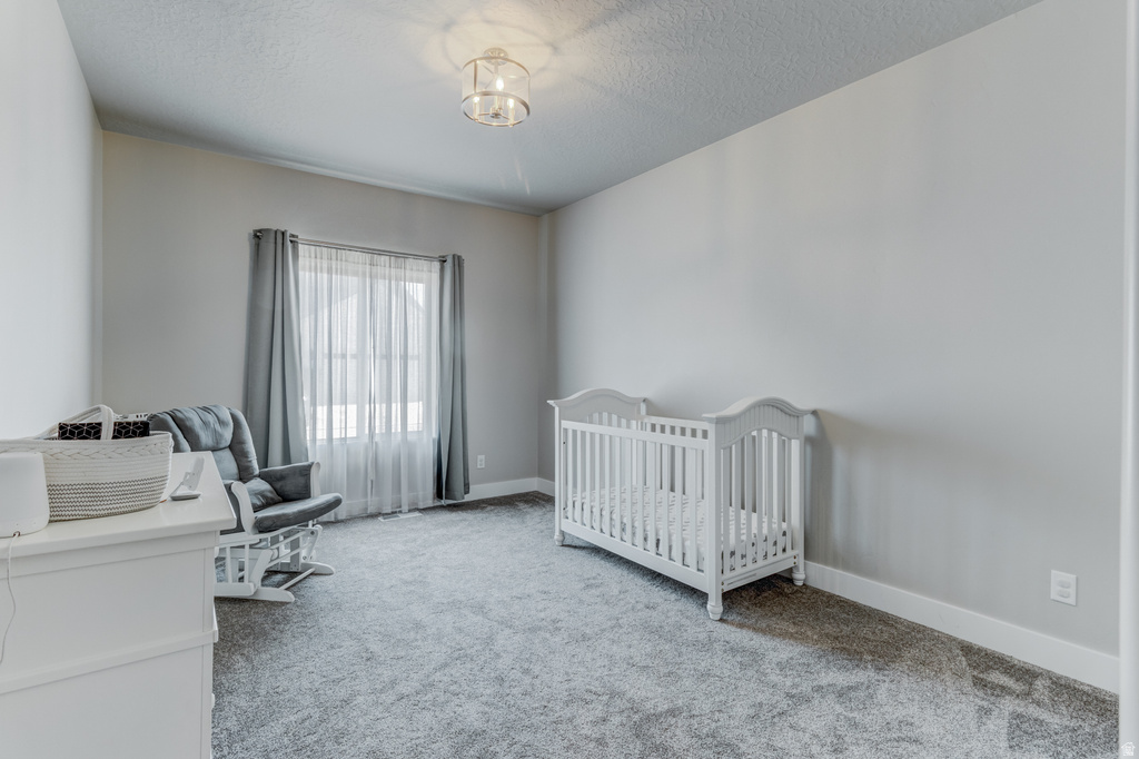 Neutral-toned interior room featuring light gray walls, a window with sheer and blackout drapes, and gray carpeting