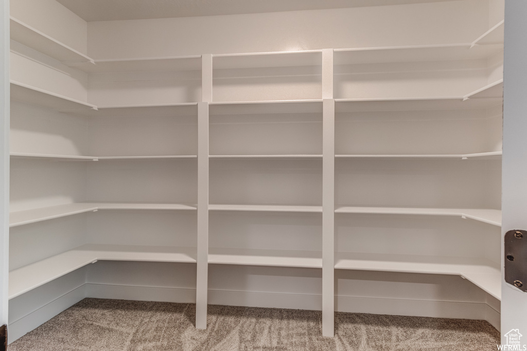 Extensive built-in shelving with white finishes and carpeted flooring