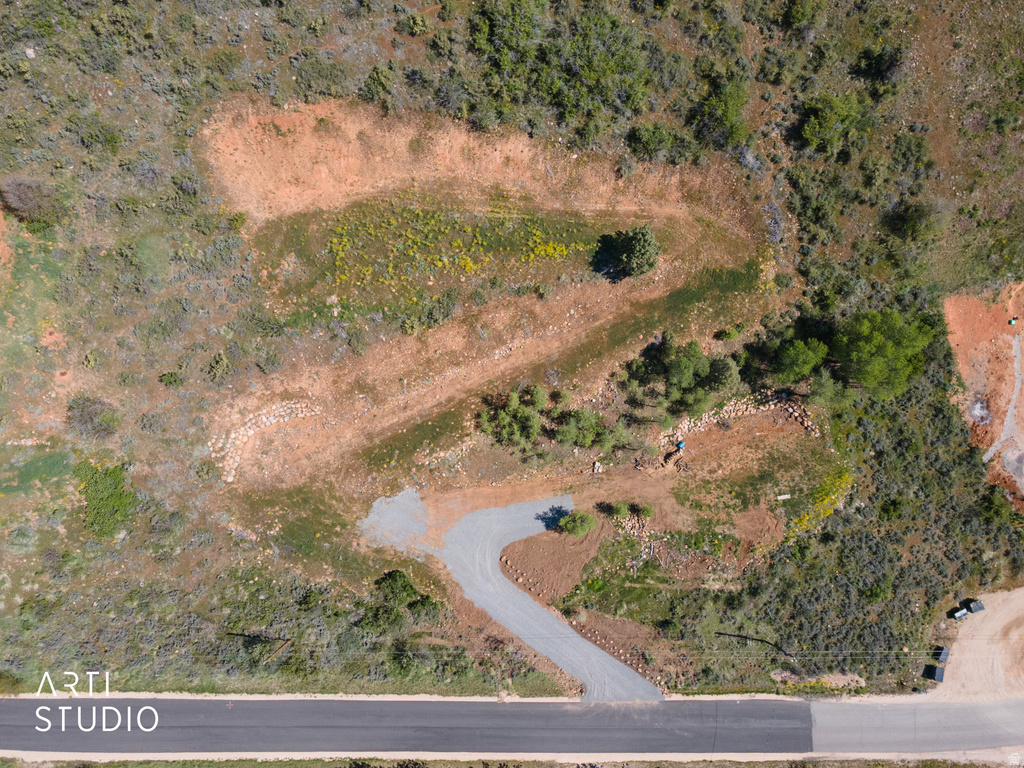 13346 EVERGREEN DR photo 5