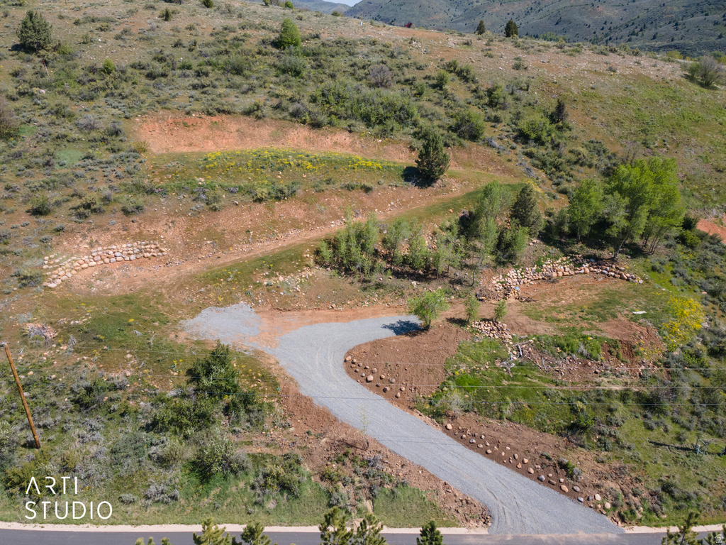 13346 EVERGREEN DR photo 4