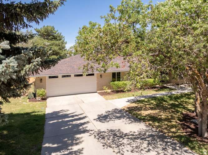 9676 MOUNT JORDAN S RD photo 2