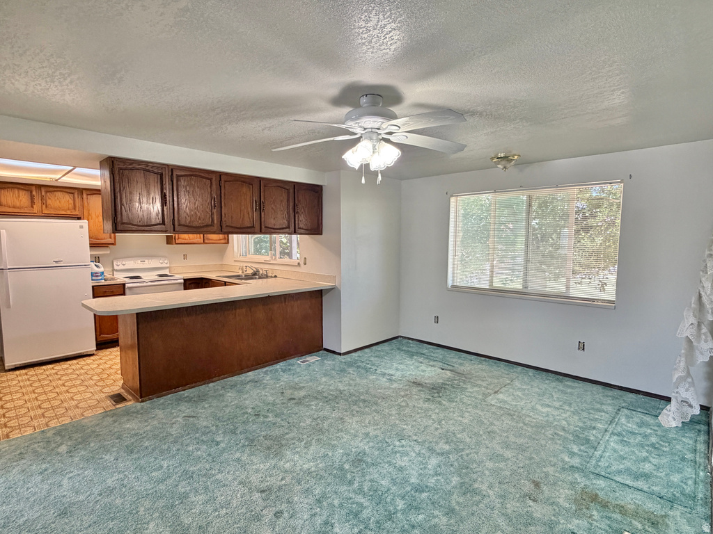 385 N COTTONWOOD DR photo 4