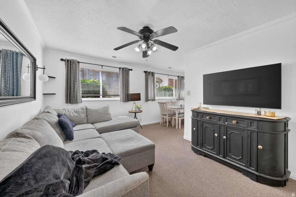 529 N 790 E photo 4