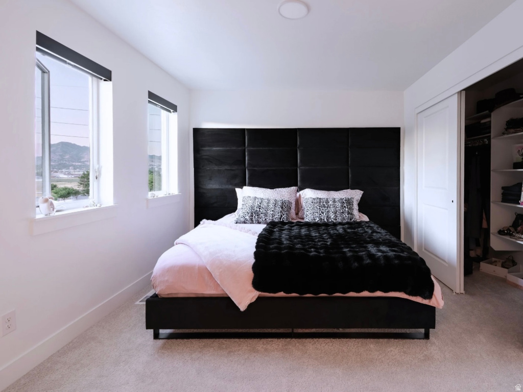 Bright room with two windows, showcasing carpet flooring, a built-in closet with shelving, and a round overhead light fixture