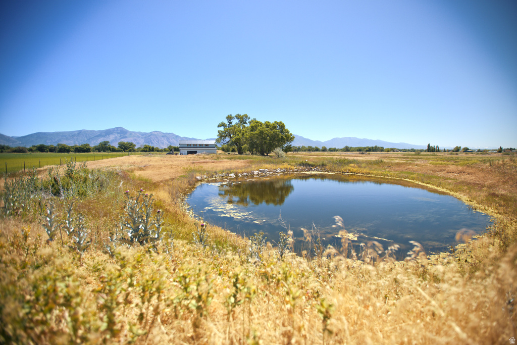 Natural pond feature surrounded by varied vegetation and distant mountain ranges