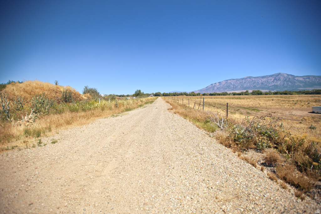 Gravel road extending into an expansive open field with distant mountain scenery