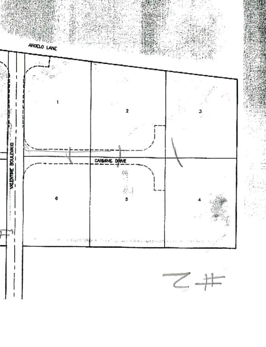 Survey Map. Indicating the division and layout of the property with numbered parcels