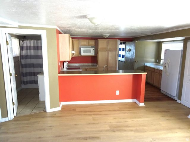244 N COURT ST photo 3