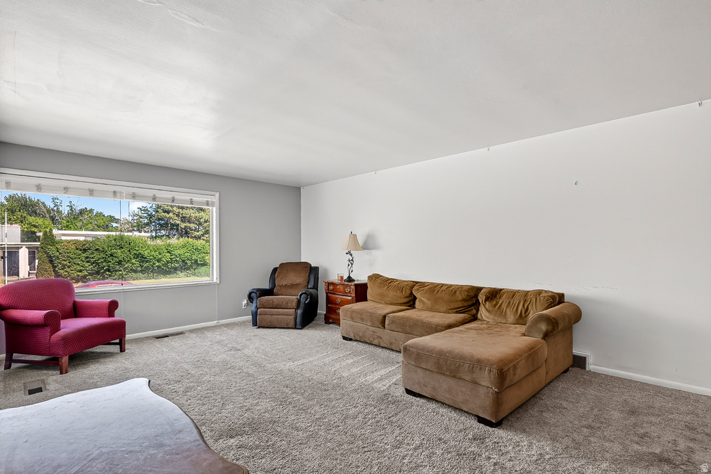 437 CIRCLEWAY DR photo 5