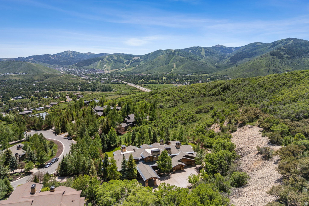 Expansive property with a multi-level roofline, surrounded by dense evergreen and deciduous trees
