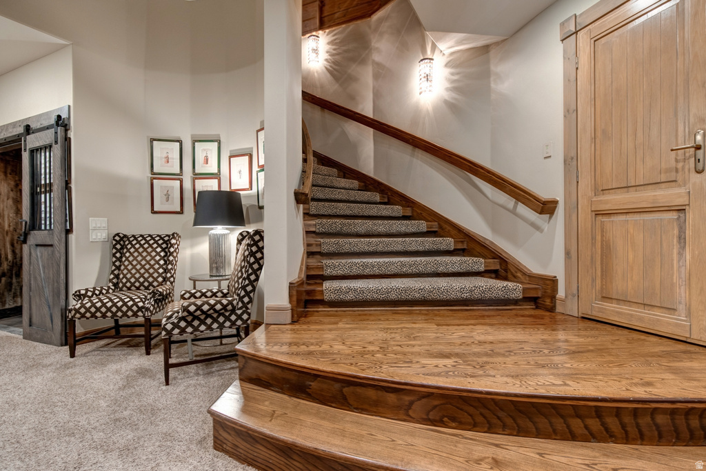 Grand curved staircase with wood-finish treads and risers, featuring a patterned carpet runner and a solid wood handrail