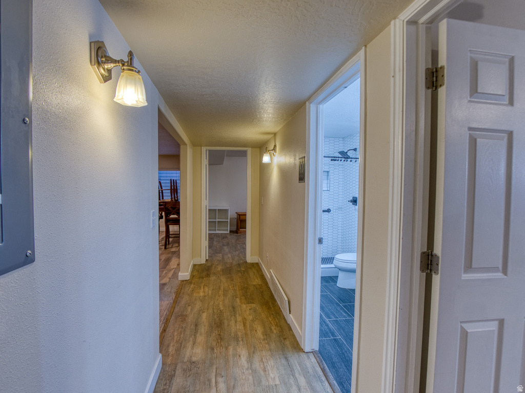 Interior hallway with wood-finish flooring, overhead lighting, and white baseboards