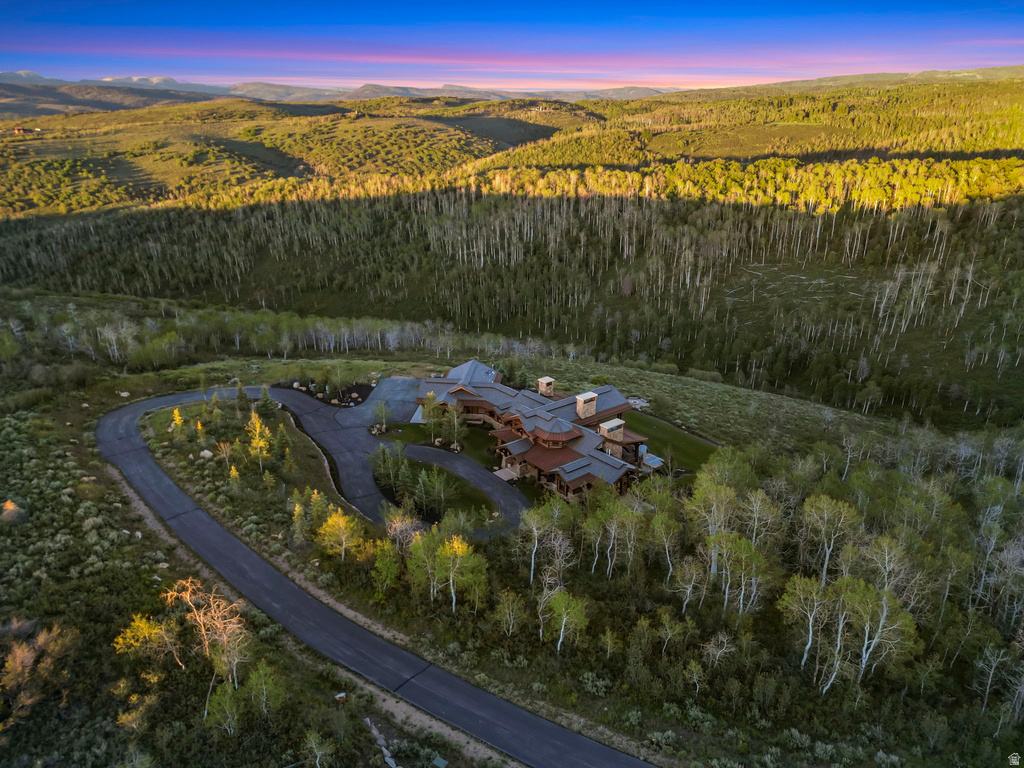 Sprawling mountain estate featuring extensive natural landscaping, a winding paved driveway, and multiple chimneys