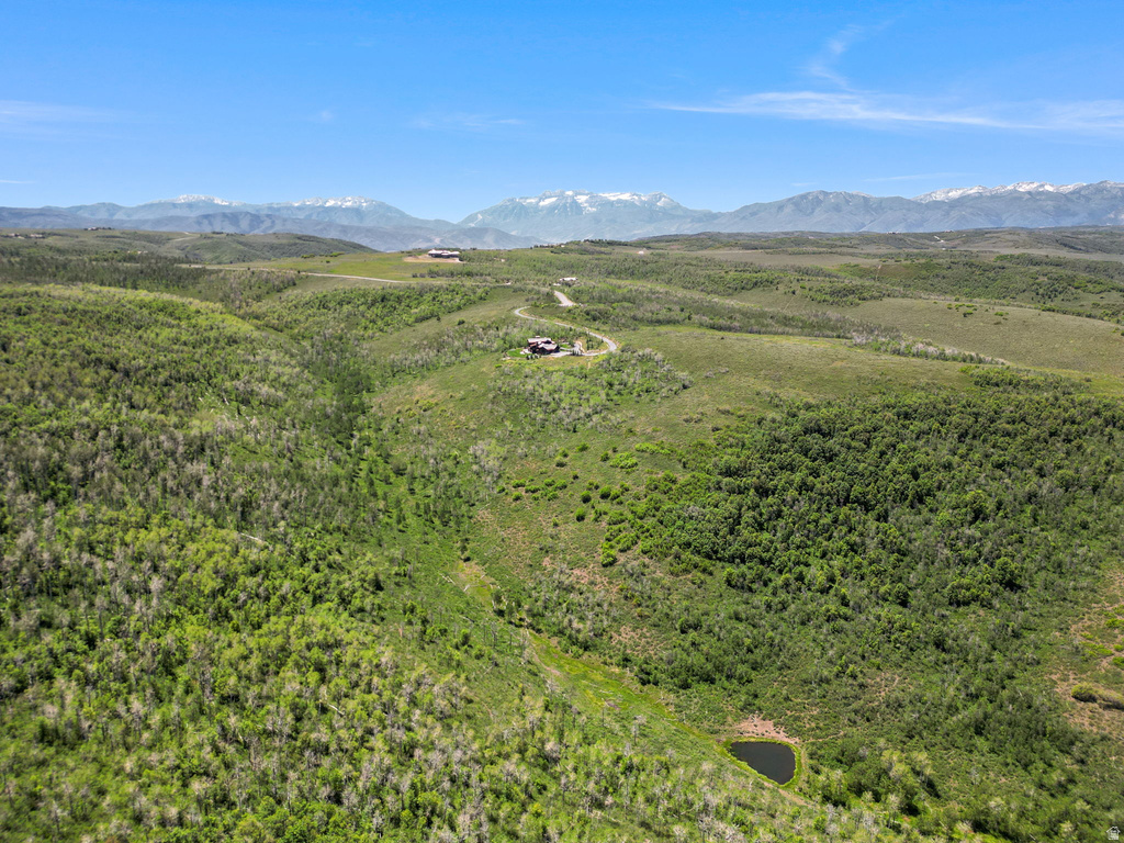 Expansive, verdant landscape featuring rolling hills and mature trees