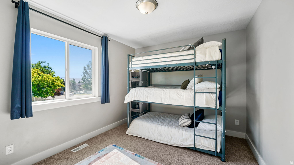 Room featuring a large white-framed window, neutral wall paint, and plush carpet flooring