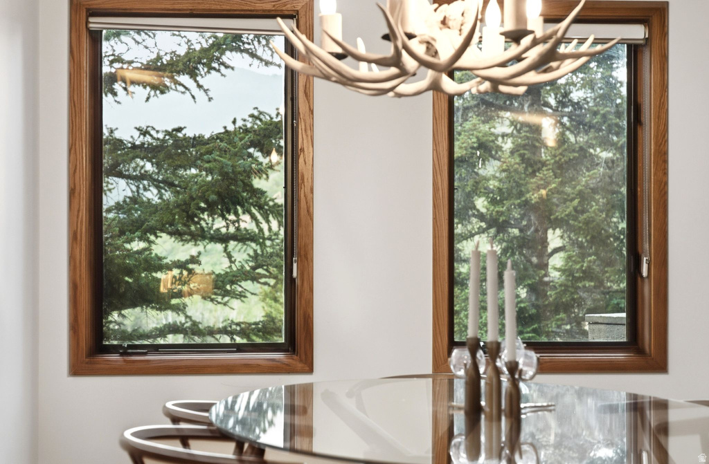 Wood-framed windows with roller shades