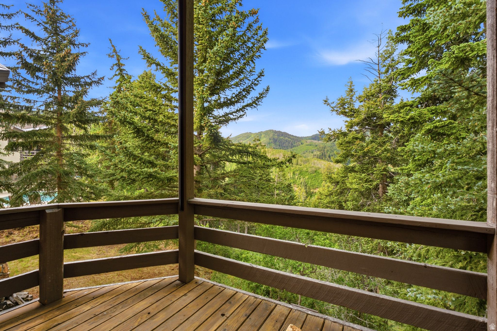 Wood-planked balcony with a sturdy railing, surrounded by mature evergreen trees
