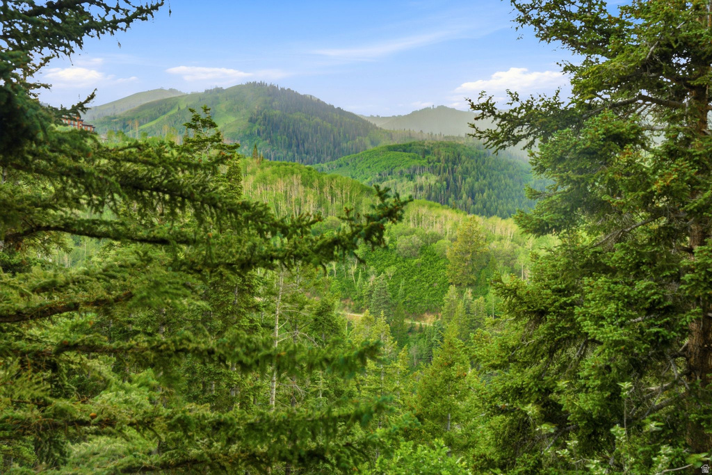 Mountainous terrain featuring dense evergreen forests and distant peaks