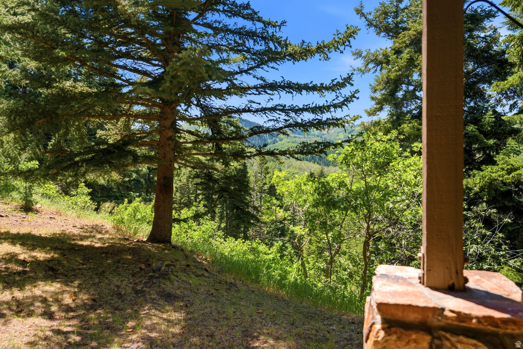 Expansive natural landscape featuring lush evergreen trees and distant mountain ranges